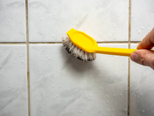 Best Home Mold Removal  in Thurmont, MD