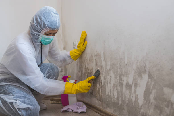 Best Crawl Space Mold Removal  in Thurmont, MD