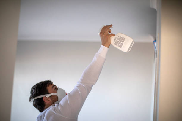 Best Mold Removal Near Me  in Thurmont, MD