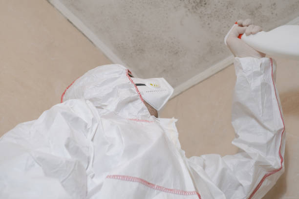 Best Mold Testing  in Thurmont, MD